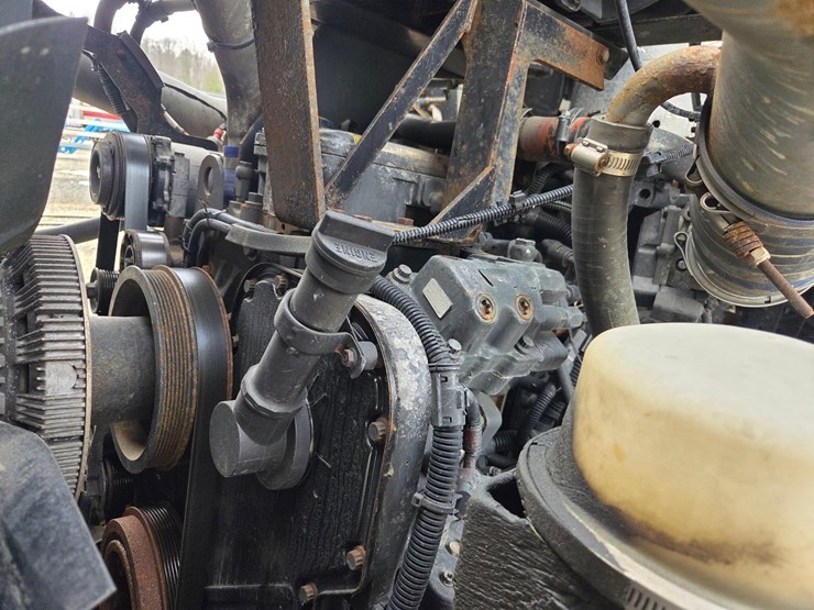 2019-tiger-8051-image-86