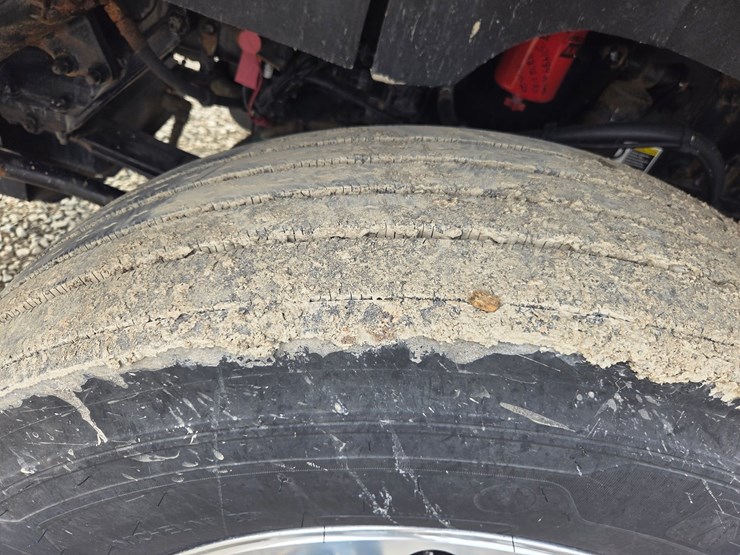 2019-tiger-8051-image-112