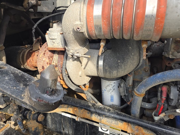 2019-tiger-8051-image-92