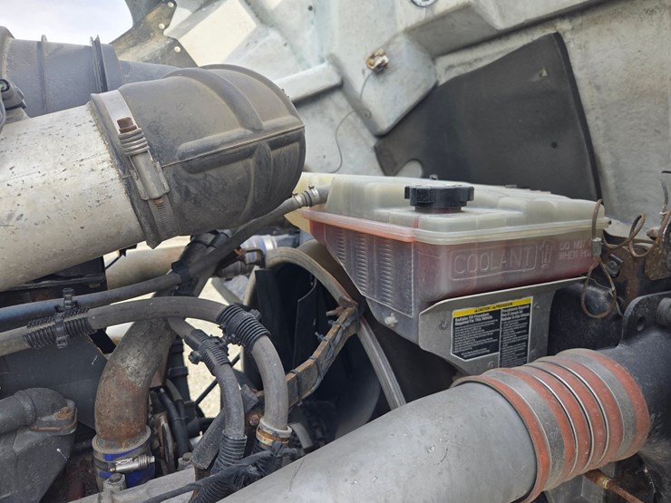 2019-tiger-8051-image-93