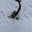 john-deere-1000-cultivator-image-9