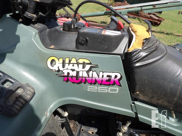 suzuki-quadrunner-250-image-3