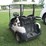 #46158-•-2020-club-car-golf-cart-je2031-093052-image-4