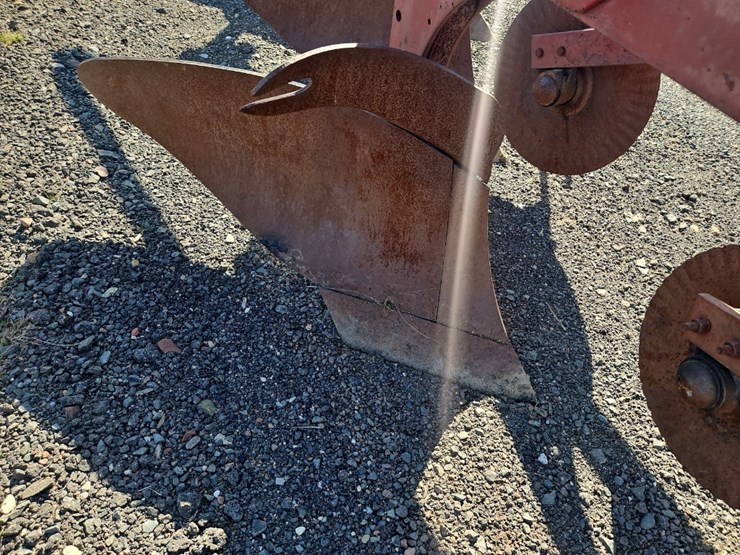 international-3-image-5