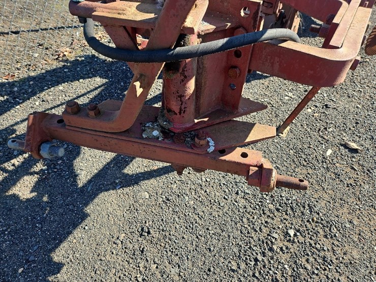 international-3-image-7