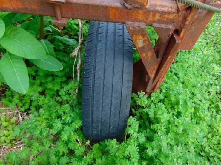 noble-spring-tooth-image-4