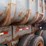 #1130-•-26'-end-dump-semi-trailer-image-18