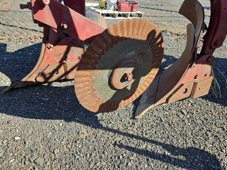 international-3-image-6