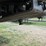 #46162-•-2026-blacksmith-mfg-28'-t/a-aluminum-dump-trailer-4b9b4d327tx103290-image-17