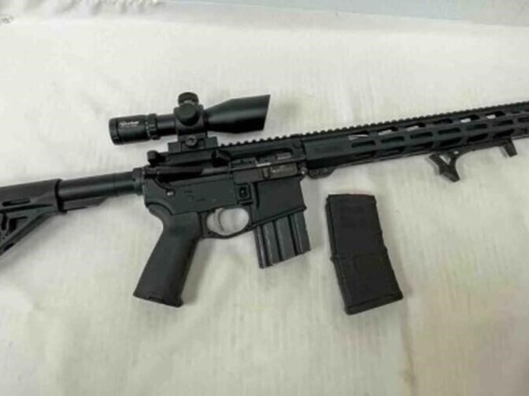 palmetto-state-armory-rifle-image-1