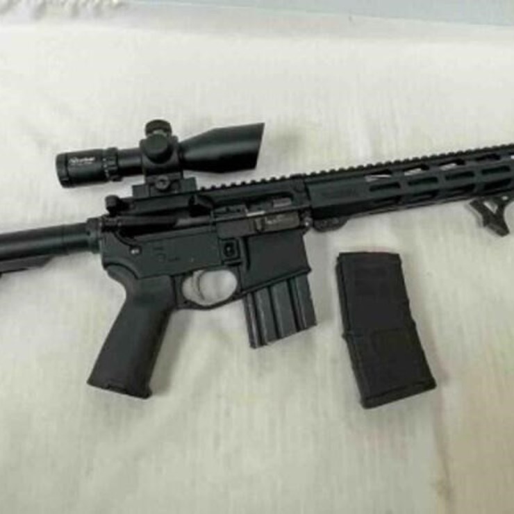 Palmetto State Armory Rifle