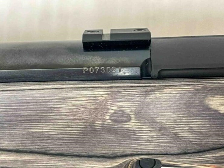 savage-rifle-image-18