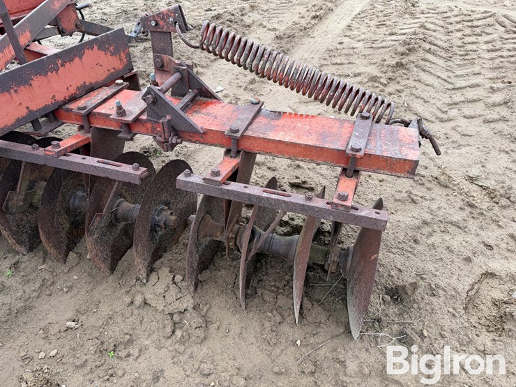 international-470-image-17