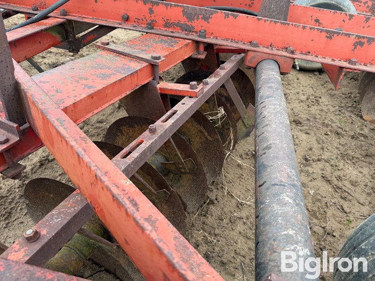 international-470-image-13