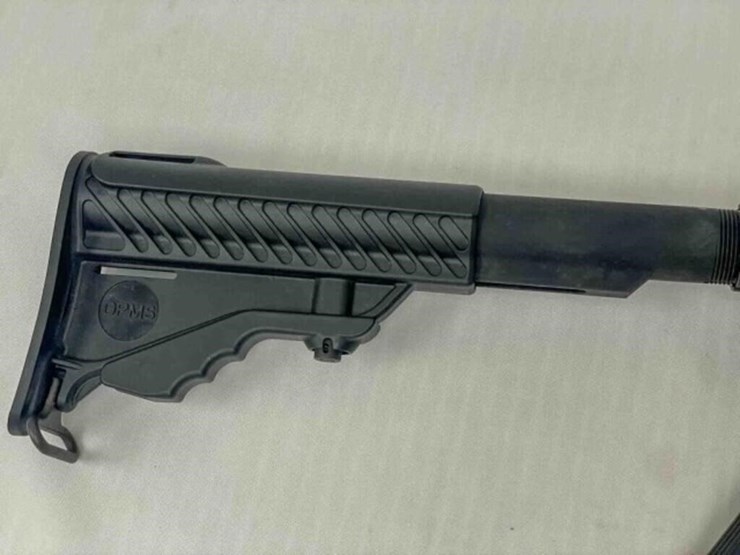 dpms-panther-arms-rifle-image-3