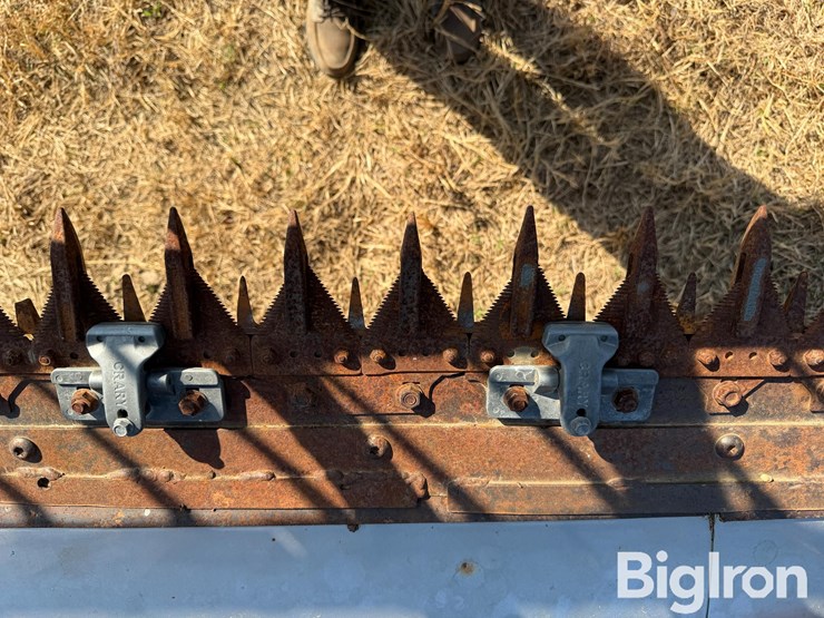 agco-30'-flexible-platform-header-w/25'-homemade-trailer-image-18