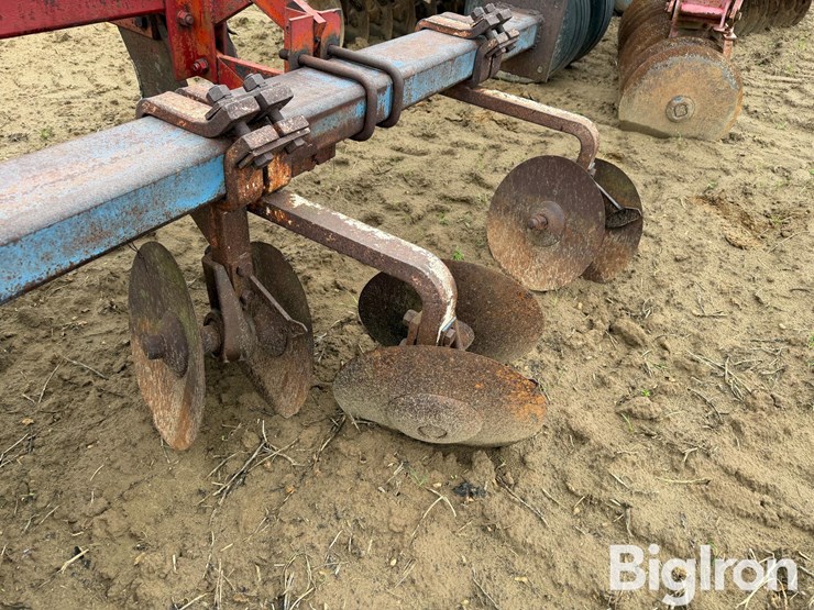 burch-ripper-hipper-image-20