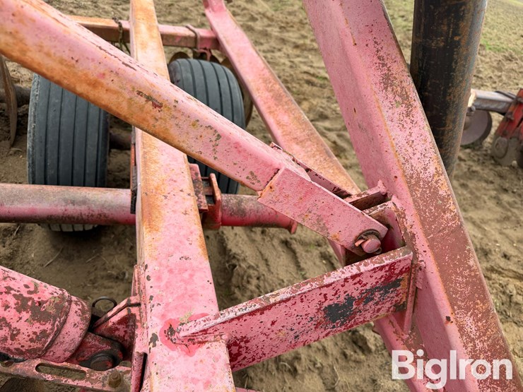 international-490-image-16