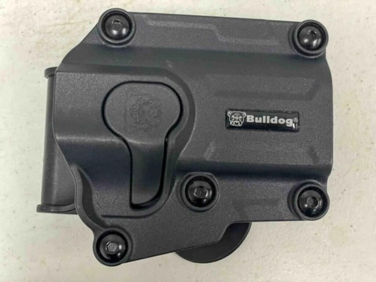 sig-sauer-pistol-image-2