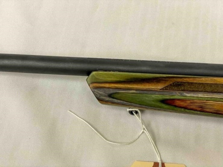 savage-rifle-image-21