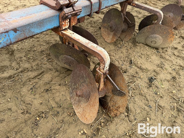 burch-ripper-hipper-image-19