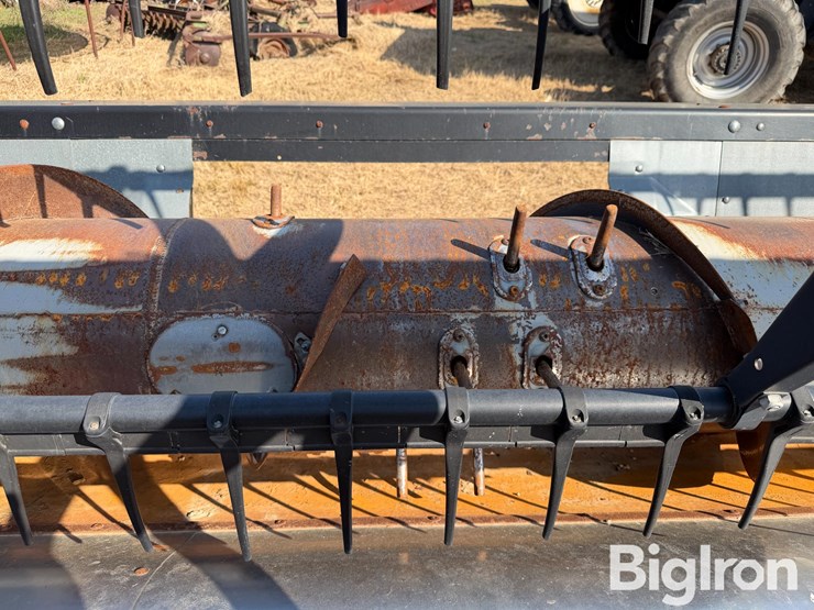 agco-30'-flexible-platform-header-w/25'-homemade-trailer-image-19