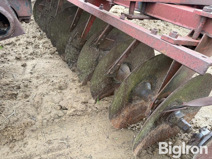 international-470-image-16