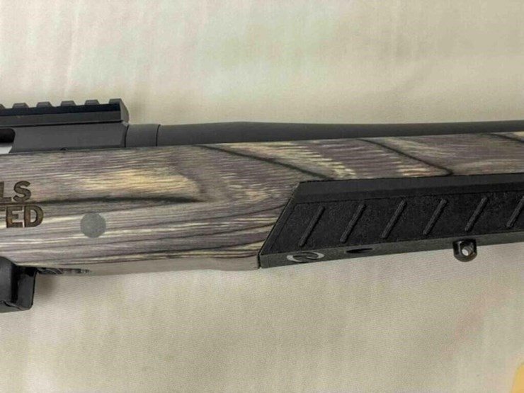 ruger-rifle-image-6