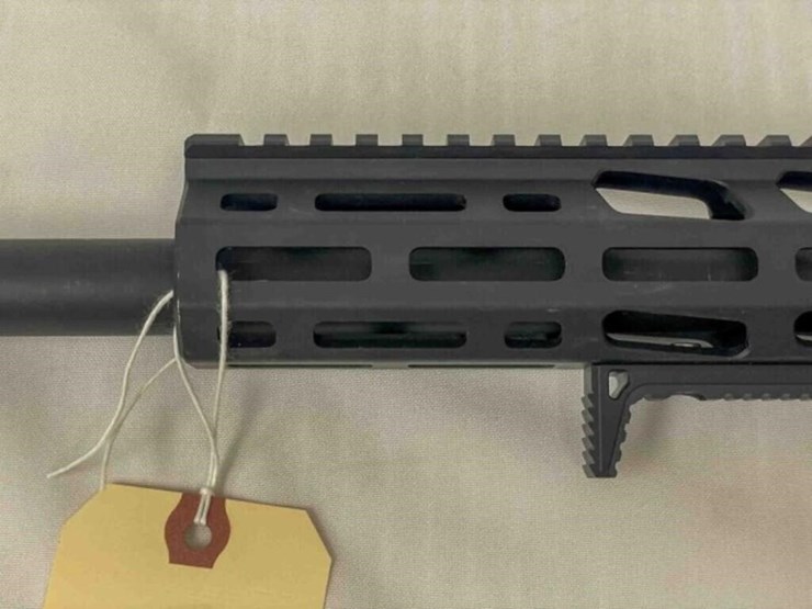 palmetto-state-armory-rifle-image-25