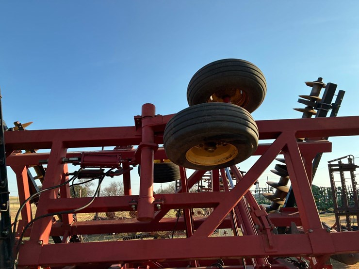 sunflower-1434-image-4