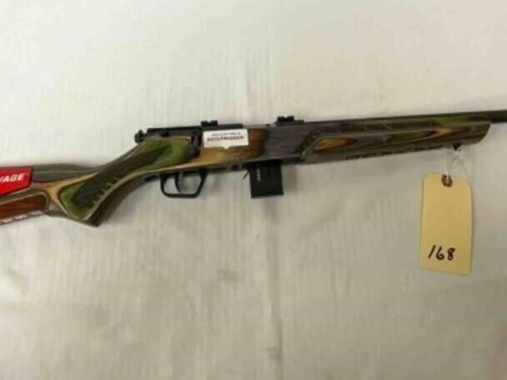 savage-rifle-image-1