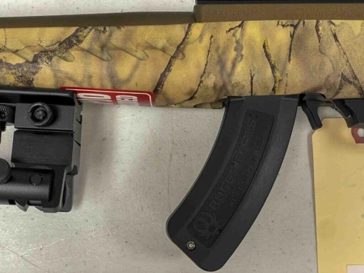 ruger-pistol-image-15