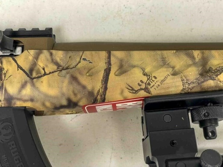 ruger-pistol-image-6