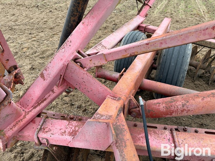 international-490-image-17