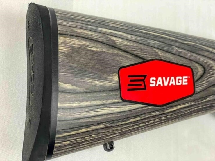 savage-rifle-image-2