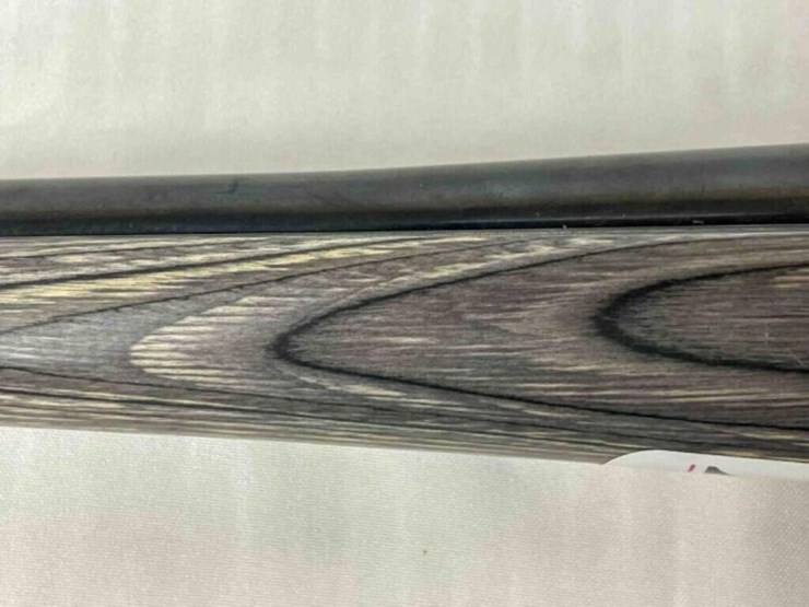 savage-rifle-image-20