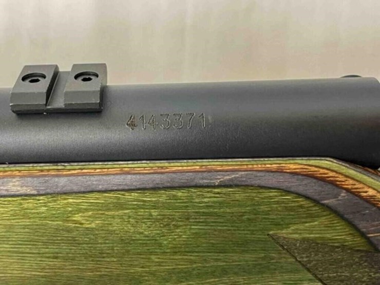 savage-rifle-image-18