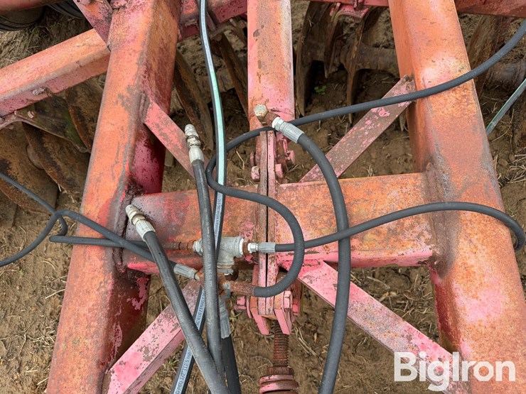 international-490-image-12