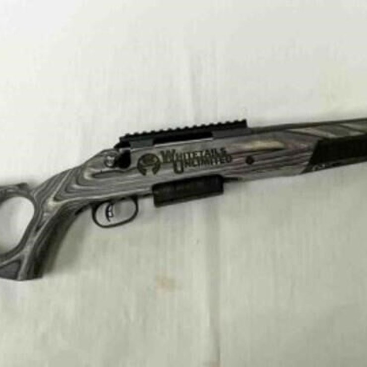Ruger Rifle