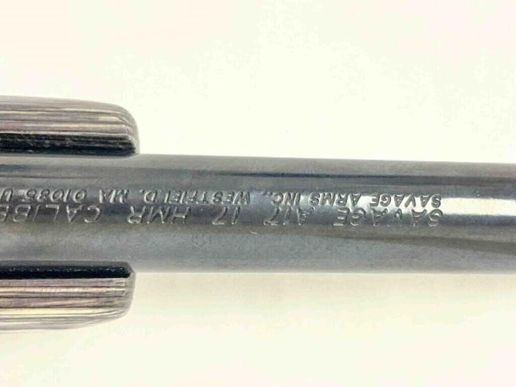 savage-rifle-image-23