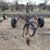 v-blade-ditcher-image-3