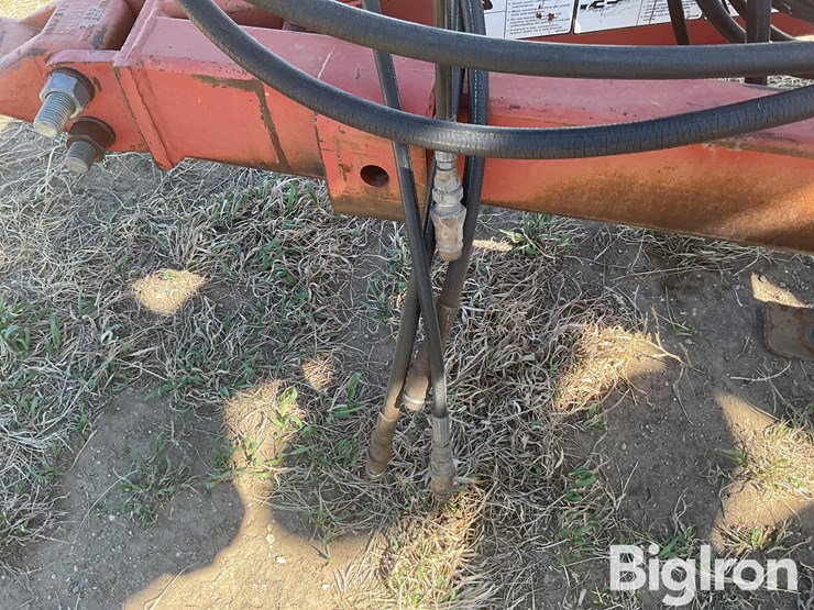 sunflower-1433-35-image-12