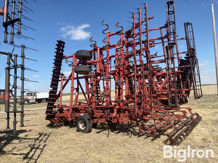 sunflower-6432-33-image-8