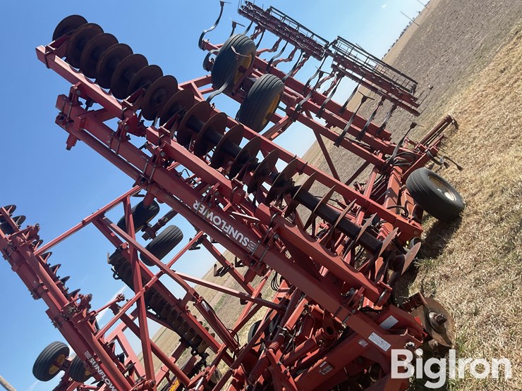 sunflower-6432-33-image-14