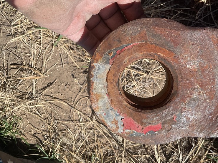 sunflower-6432-33-image-9