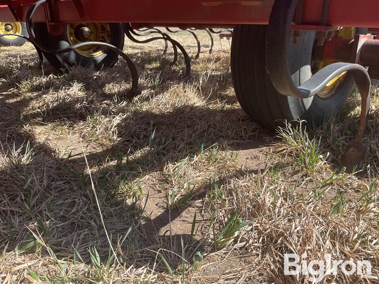 sunflower-6432-33-image-15