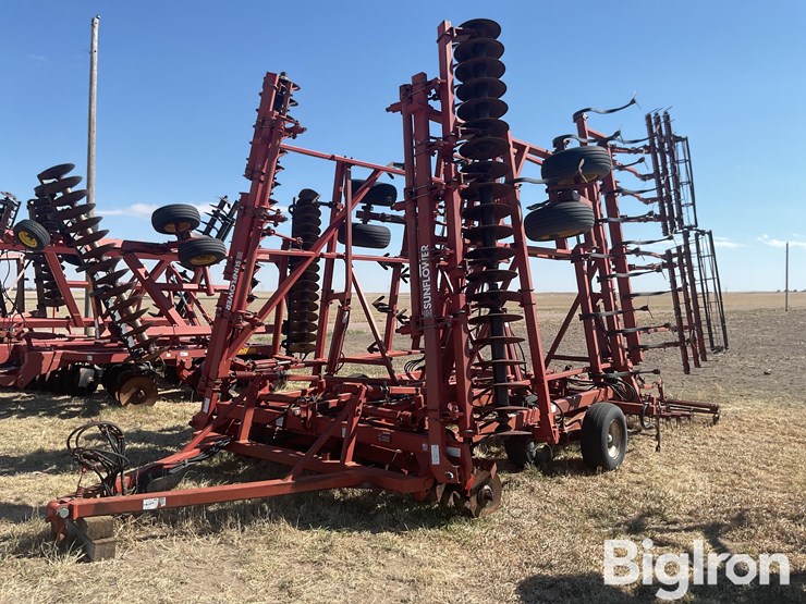 sunflower-6432-33-image-1