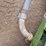 walinga-mt5100-agri-vac-image-12