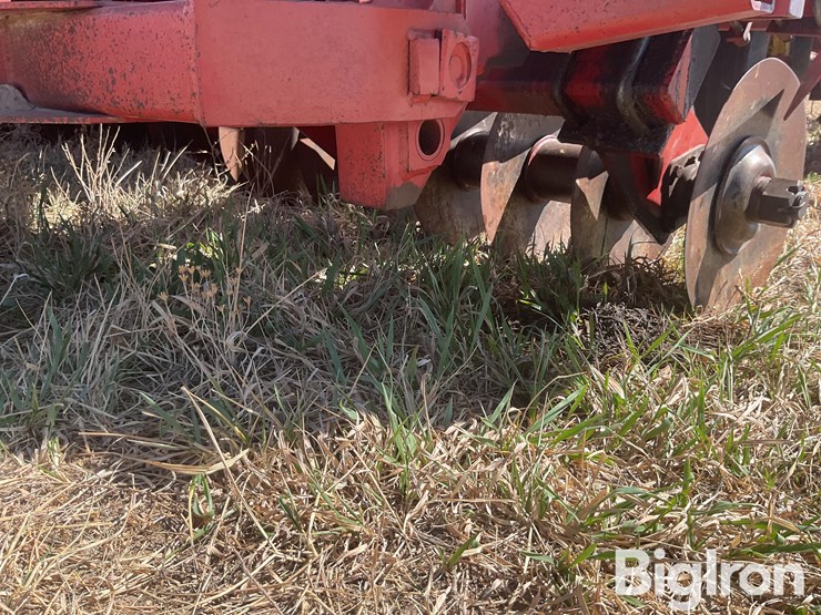 sunflower-6432-33-image-13