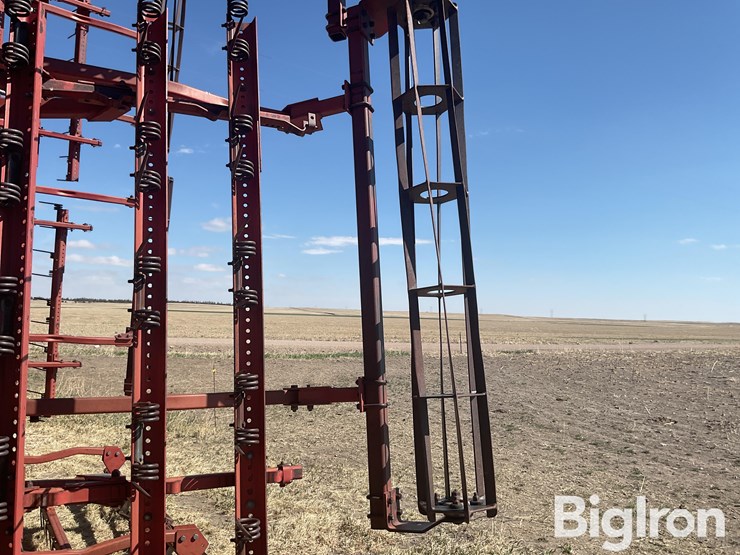 sunflower-6432-33-image-19